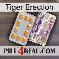 Tiger Erection new12